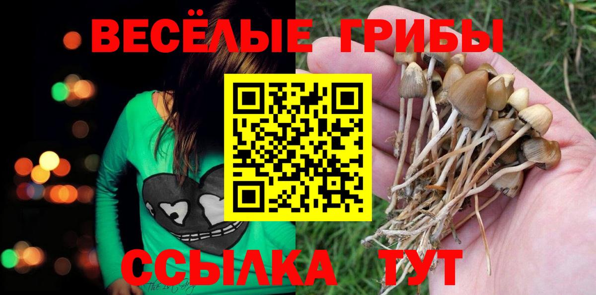 Псилоцибиновые грибы мухоморы  Галлюциногенные грибы MAGIC MUSHROOMS  Вход с VPN  Кыштым 