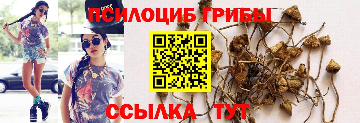Галлюциногенные грибы GOLDEN TEACHER Кыштым